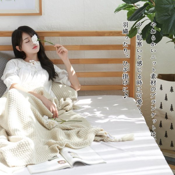 画像2: ひざ掛け 毛布 (2)