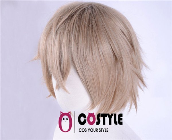 画像3: ゲーム コスプレ 耐熱 ウィッグ ネット付き ガウェイン  Fate/GrandOrder Fateシリーズ アニメ 漫画 wig キャラクター 二次元髪型 かつら コス レイヤーさん cosplay cos 完コス コミケ 衣装 仮装 変装 (3)