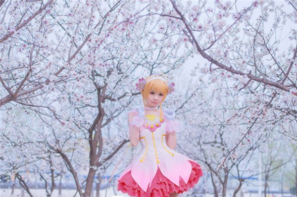 画像14: ワンピース メイド ゴシック クラシカル  レディース 女性 子供用 発表会 舞台 パーティー ハロウィン 衣装 仮装 コスチューム コスプレ コス ロリータファッション (14)