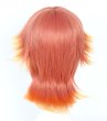 画像2: 送料無料 コスプレ 耐熱 ウィッグ ネット付き wig 王室教師ハイネ ハイネ・ヴィトゲンシュタイン　 キャラクター 二次元髪型　かつら　コス レイヤーさん　cosplay　cos　完コス　コミケ 衣装　仮装　変装　学園祭　文化祭 (2)