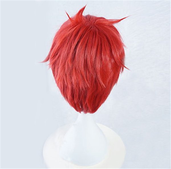 画像4: 送料無料 アニメ コスプレウィッグ ネット付き Re:ゼロから始める異世界生活 ラインハルト・ヴァン・アストレア wig キャラクター 二次元髪型 かつら コス レイヤーさん cosplay cos 完コス コミケ 衣装 仮装 変装 学園祭 文化祭 (4)